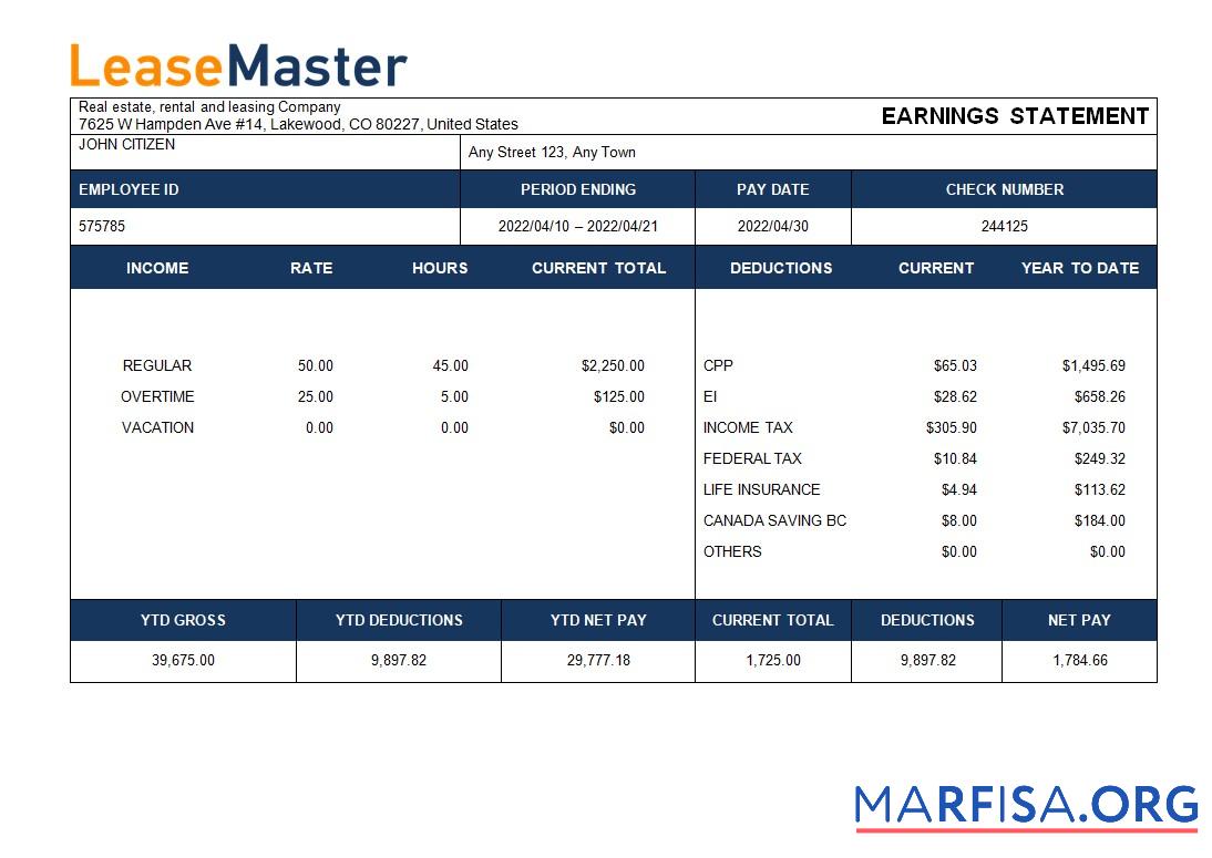 Blank Real estate, rental and leasing company payslip sample
